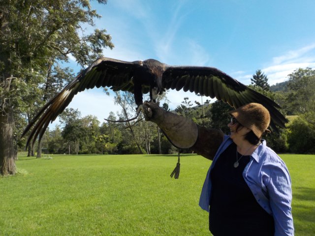 50th Wedding Anniversary