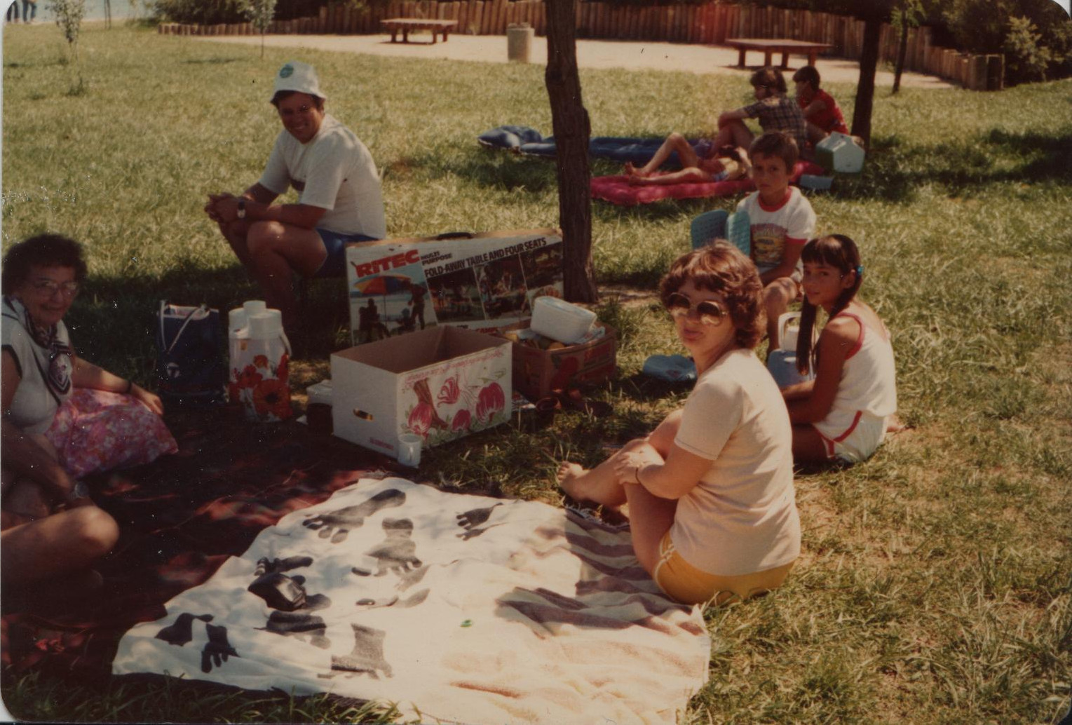 Family Picnic.jpg