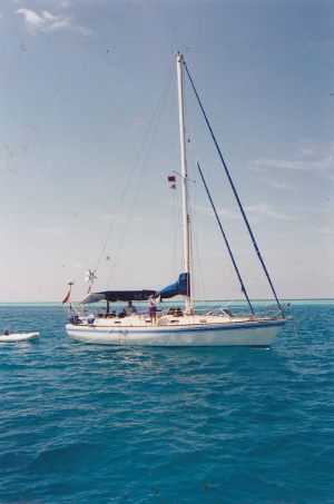 Sea-D-300px.jpg